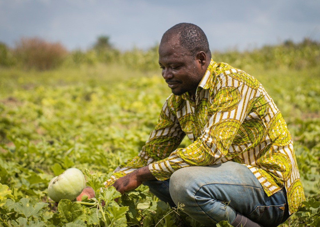 Improved livelihoods